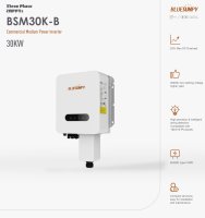 BlueSun Wechselrichter 30KW BSM-30K-B
